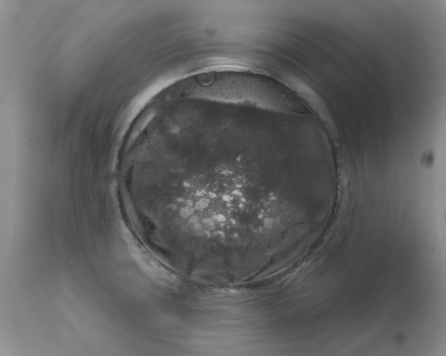 X0000113611427200910021754