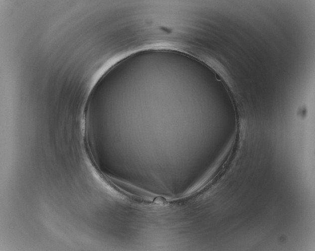 X0000113611428200910021754