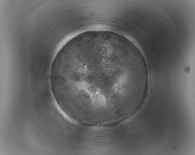 X0000113611429200910021754