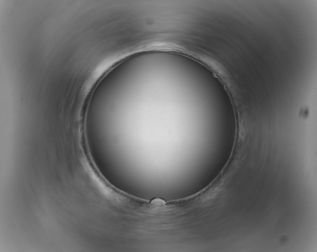 X0000113611430200910021754