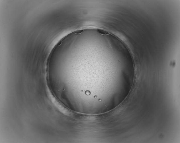 X0000113611431200910021754