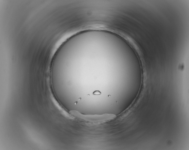 X0000113611432200910021754