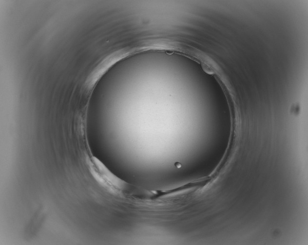 X0000113611433200910021754