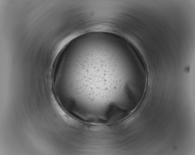 X0000113611434200910021754