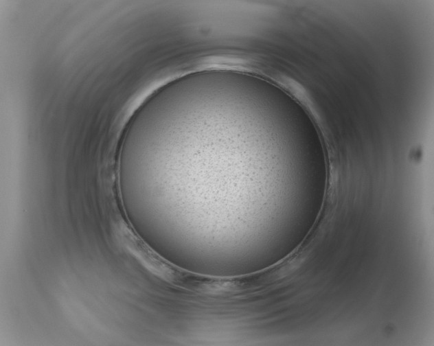 X0000113611435200910021754