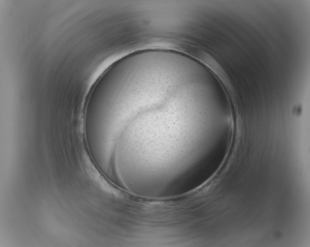 X0000113611436200910021754