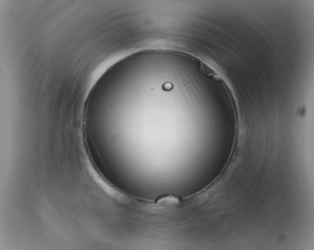 X0000113611437200910021754