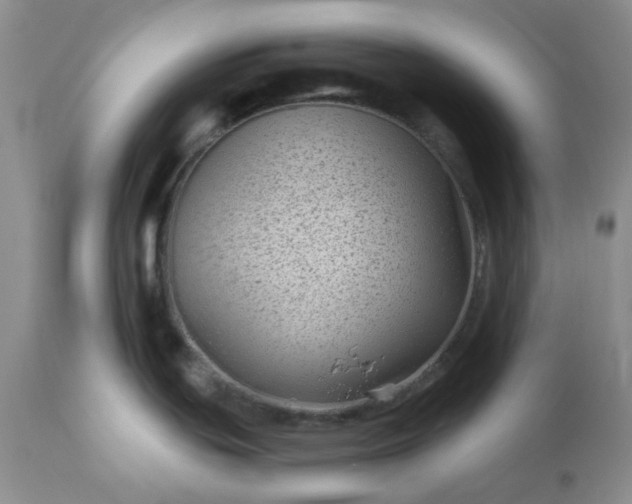 X0000113611439200910021754