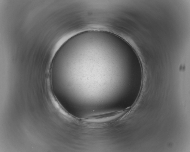 X0000113611440200910021754