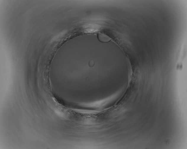 X0000113611441200910021753