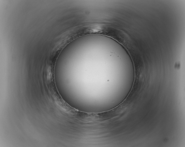 X0000113611442200910021753