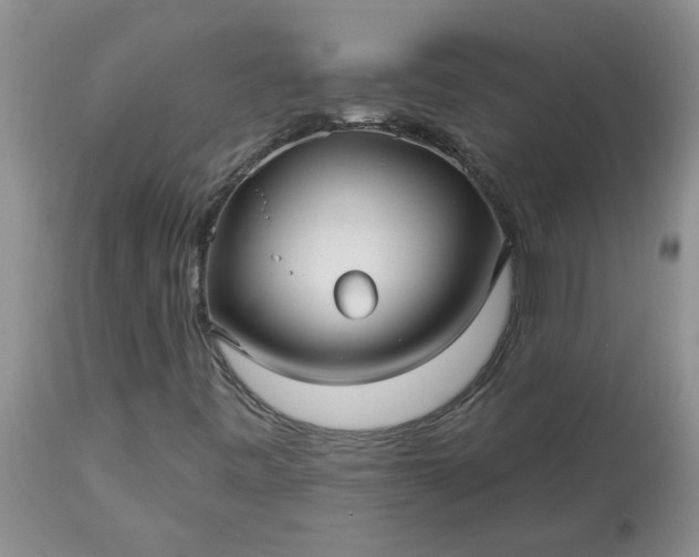 X0000113611443200910021753