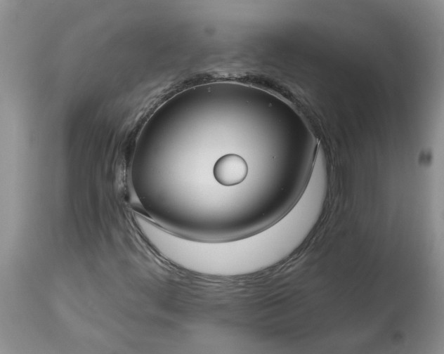 X0000113611444200910021753