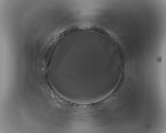 X0000113611445200910021753