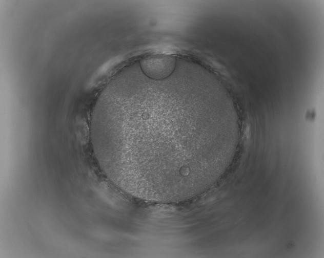 X0000113611446200910021753