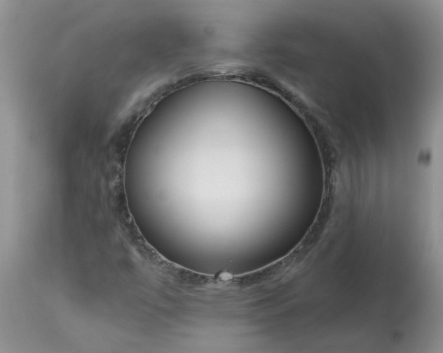 X0000113611447200910021753