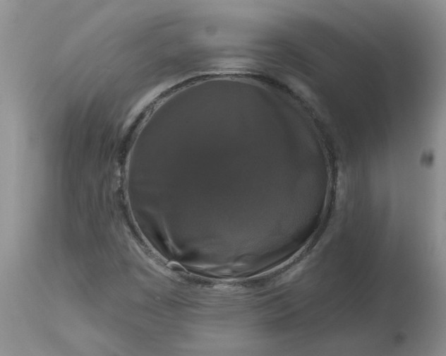 X0000113611449200910021753