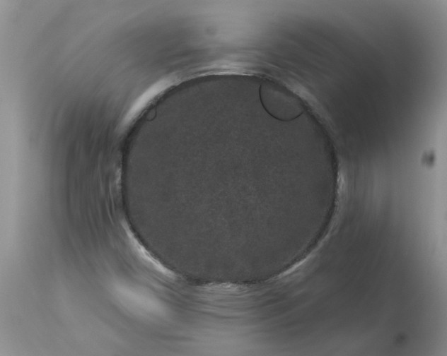 X0000113611450200910021753