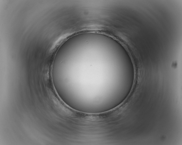 X0000113611451200910021753