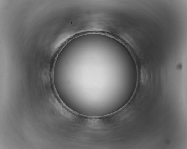 X0000113611452200910021753