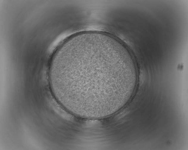 X0000113611454200910021753