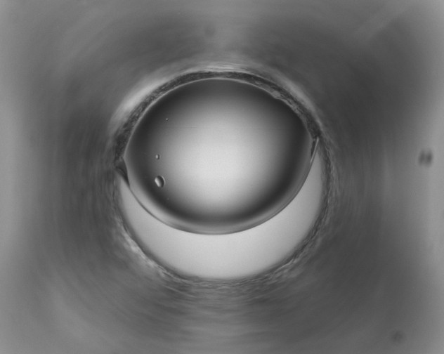 X0000113611456200910021753