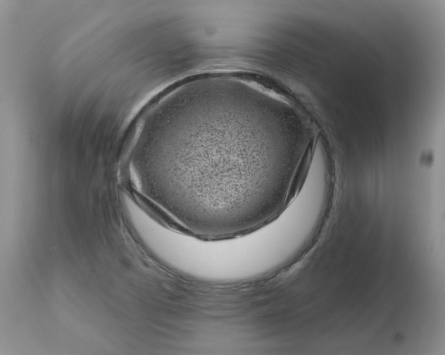 X0000113611457200910021753