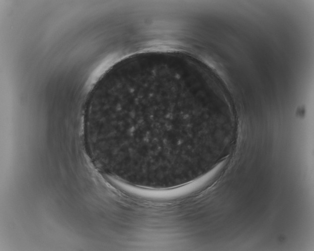 X0000113611459200910021753