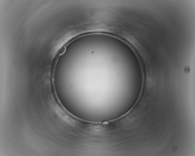 X0000113611460200910021753