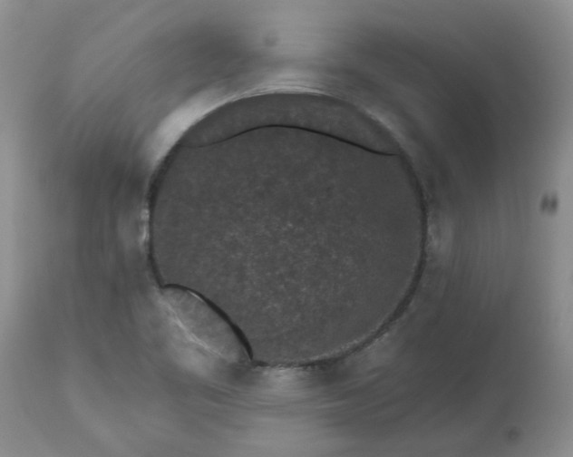 X0000113611461200910021753