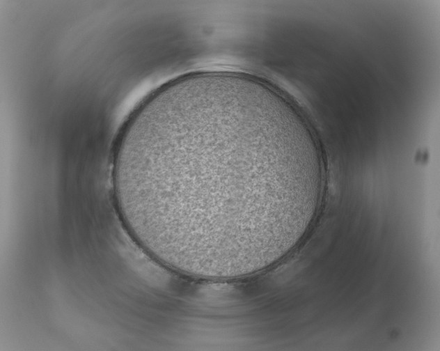 X0000113611462200910021753