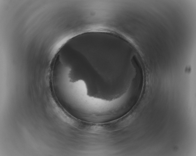 X0000113611463200910021753