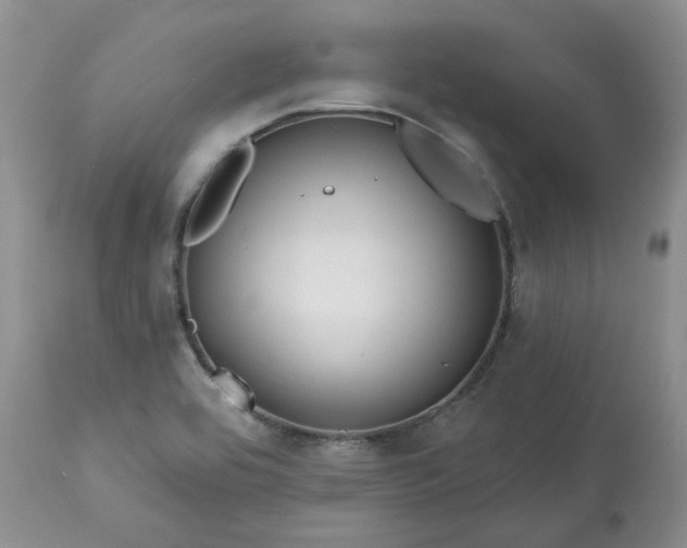 X0000113611464200910021753