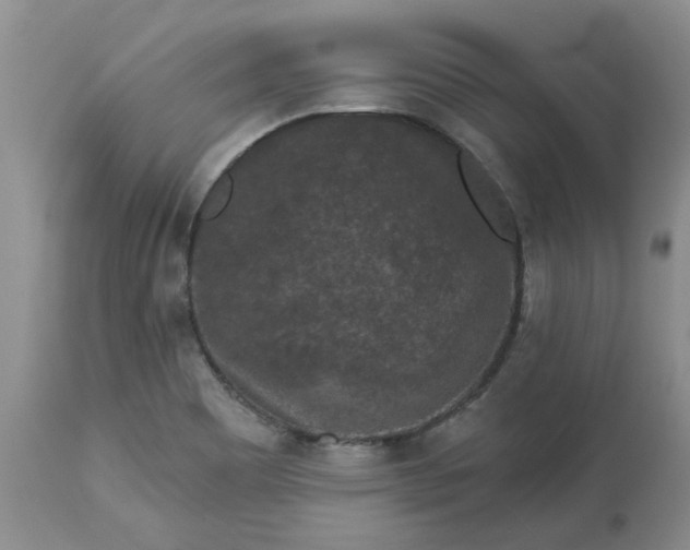 X0000113611465200910021753