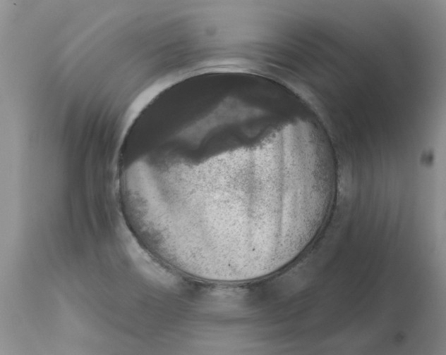 X0000113611466200910021753