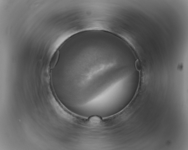 X0000113611468200910021753