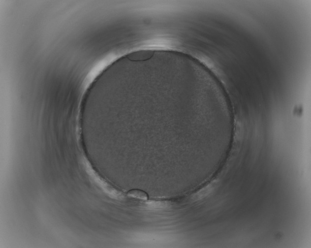 X0000113611469200910021753