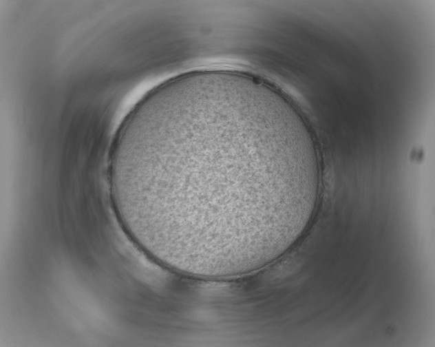 X0000113611470200910021753