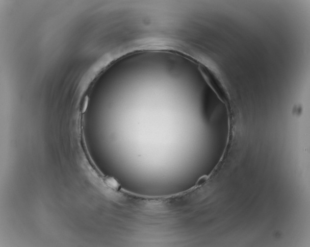 X0000113611472200910021753