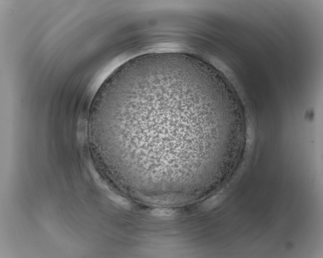 X0000113611473200910021753