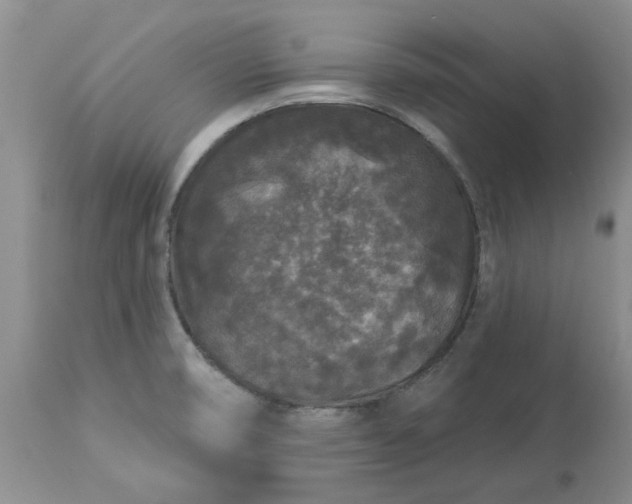 X0000113611474200910021753