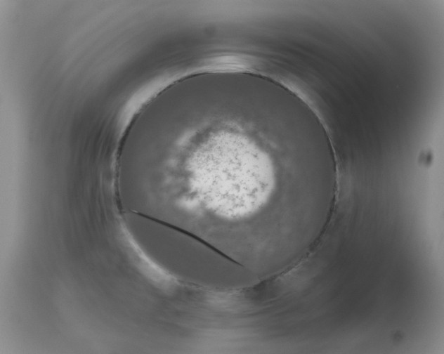 X0000113611477200910021753