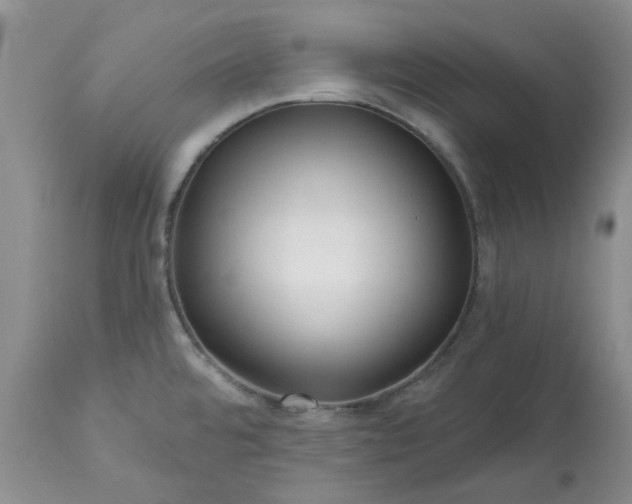 X0000113611480200910021753