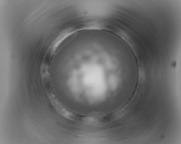 X0000113611481200910021753