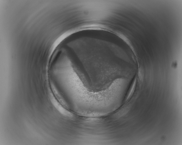 X0000113611482200910021753