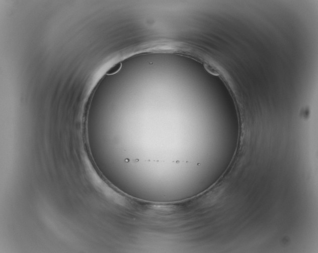 X0000113611483200910021753