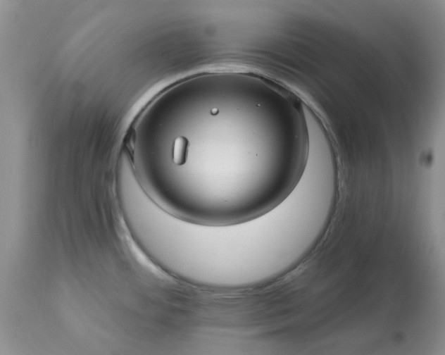 X0000113611484200910021753