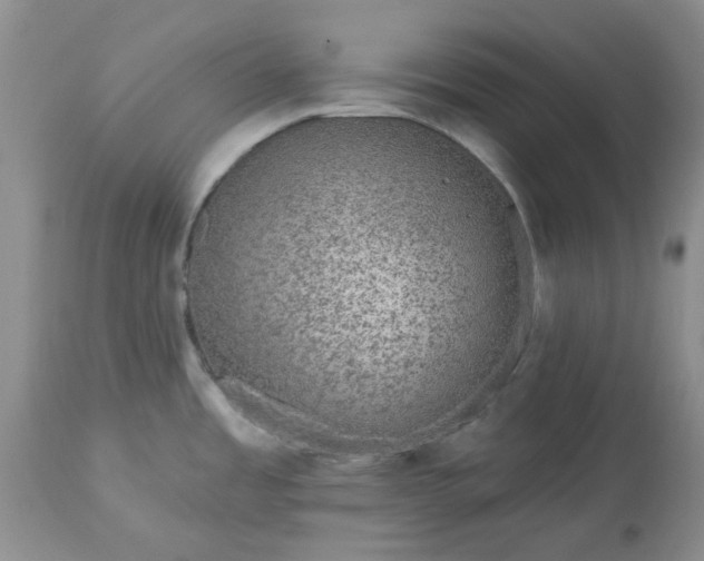 X0000113611485200910021753