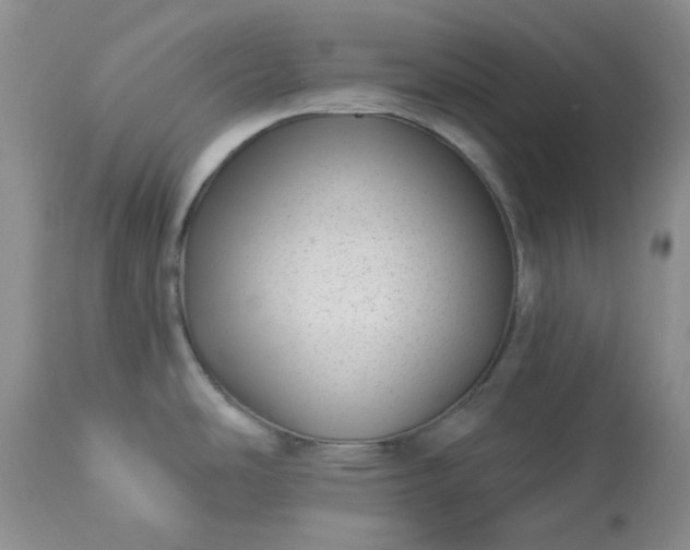 X0000113611486200910021753