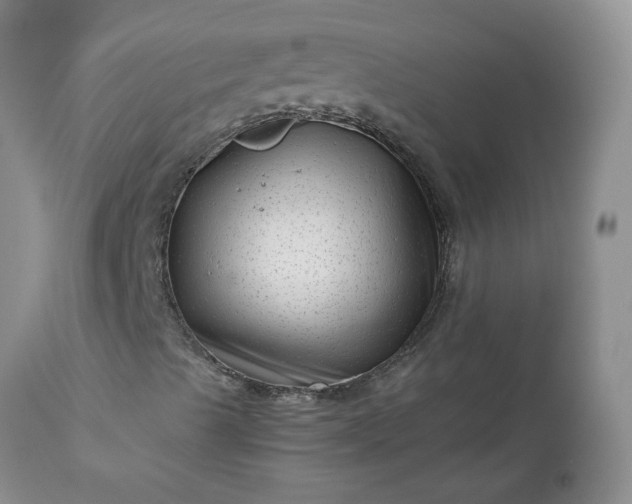 X0000113611489200910021752